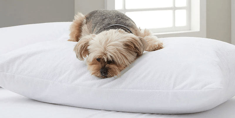Almohadas